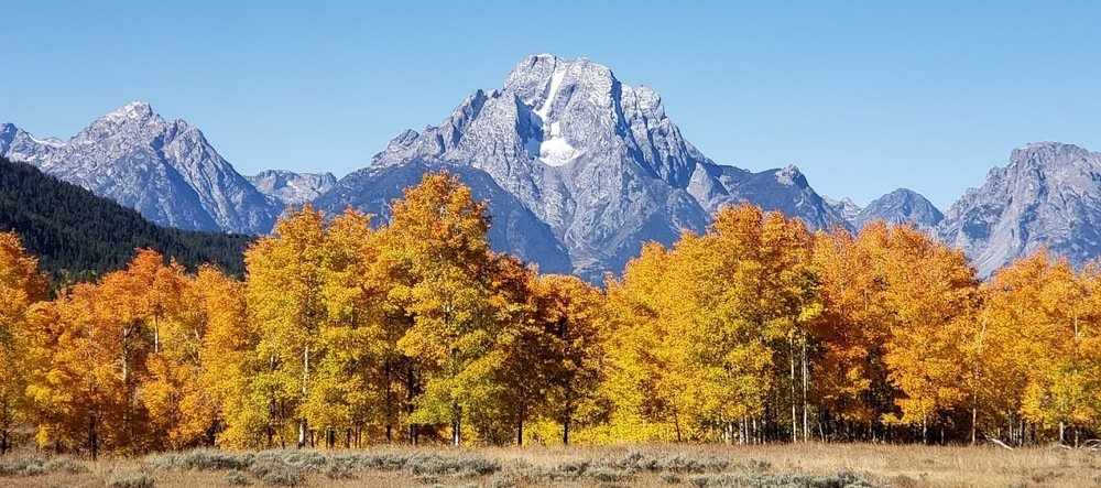 Fall in Grand Teton