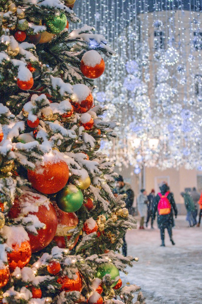 Photograph by Angelina Bukina