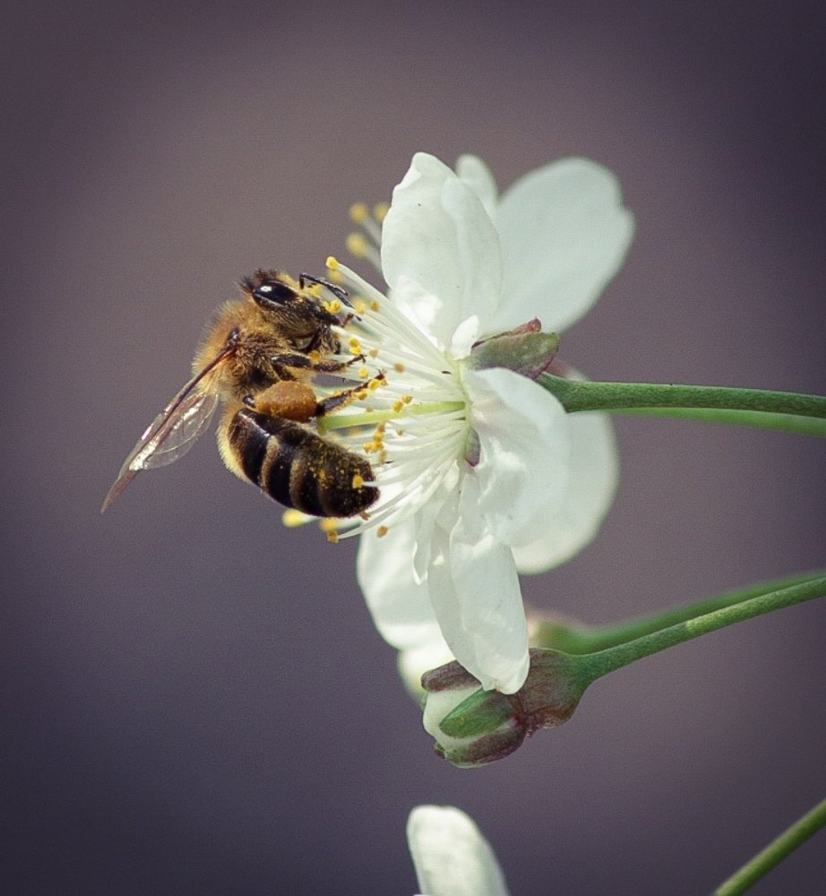 Photograph by Андрей Потапов