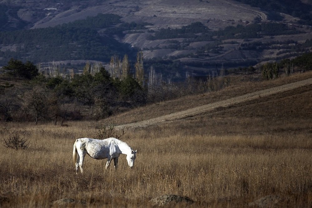 Photograph by Андрей Устинович