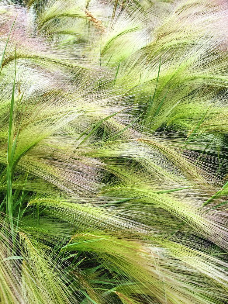 Фотография автора Римма Савина