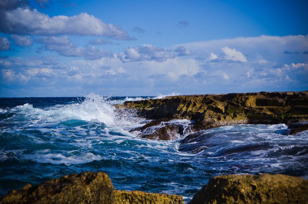 Photograph by Dimitrije Todorovic