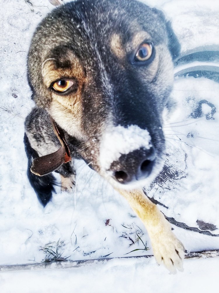 Photograph by Мария Коробова