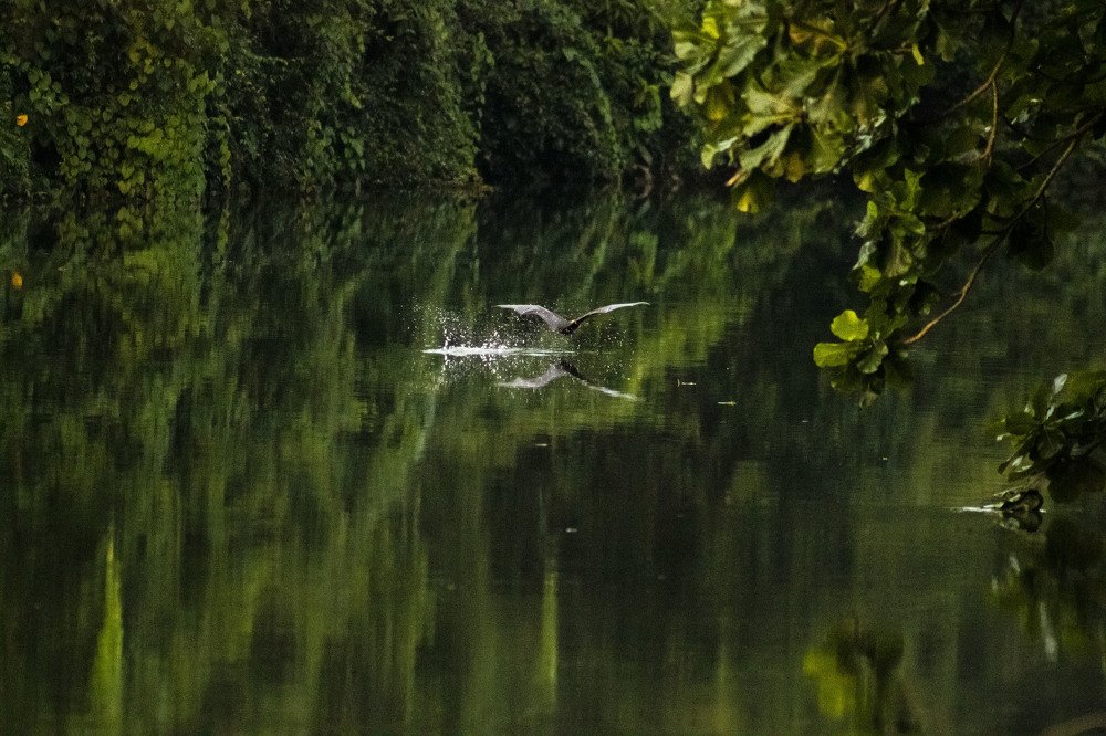 Photograph by SUJITH VARGHESE