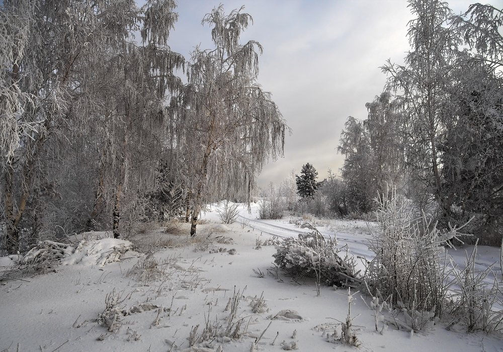Photograph by Александр Попов
