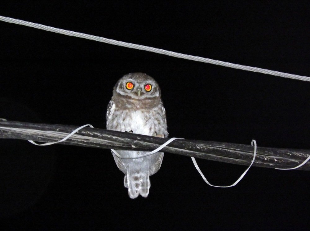 Photograph by Bhagirath Trivedi