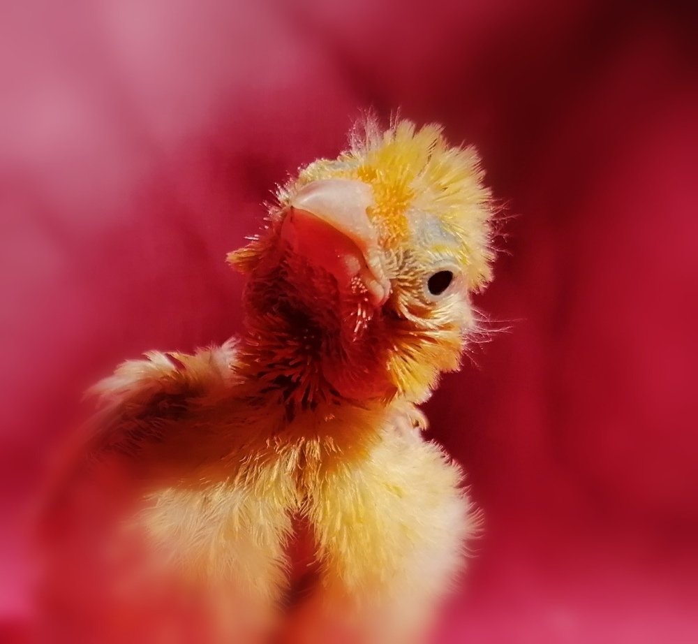 Photograph by Ирина Зима