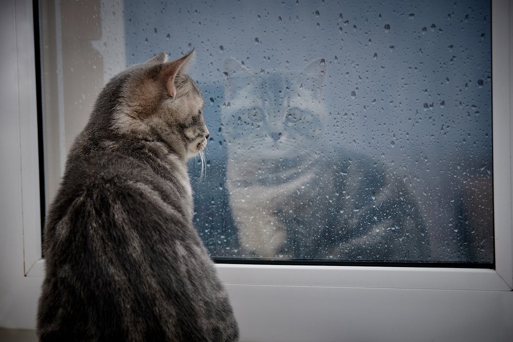 Photograph by Юлия Хаванова