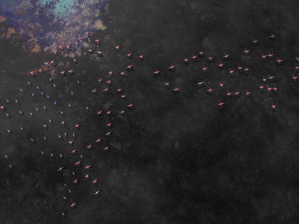 Fighter plane parking