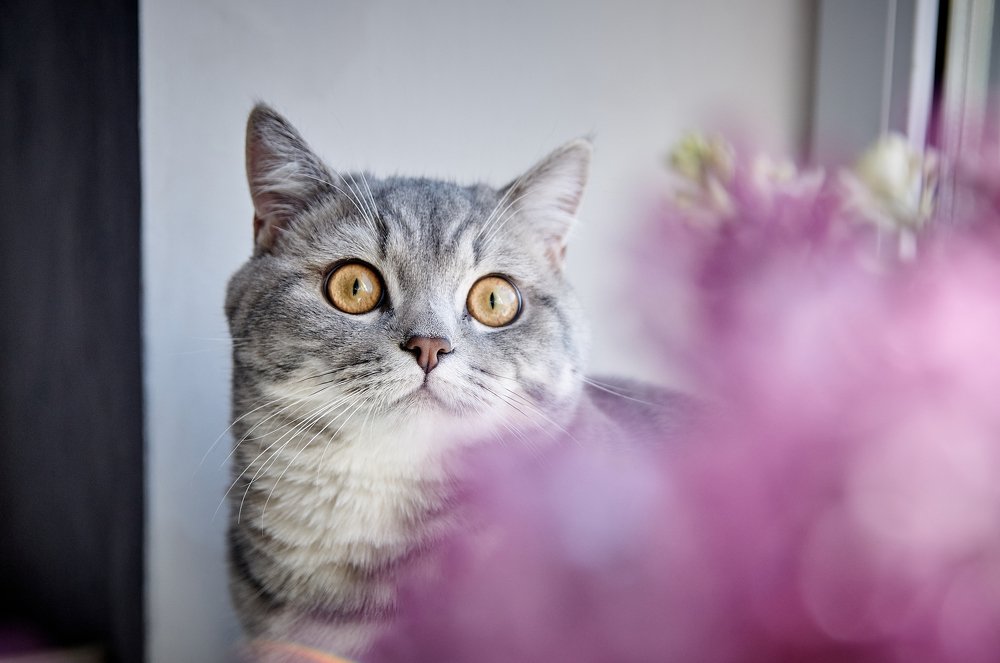 Photograph by Юлия Хаванова