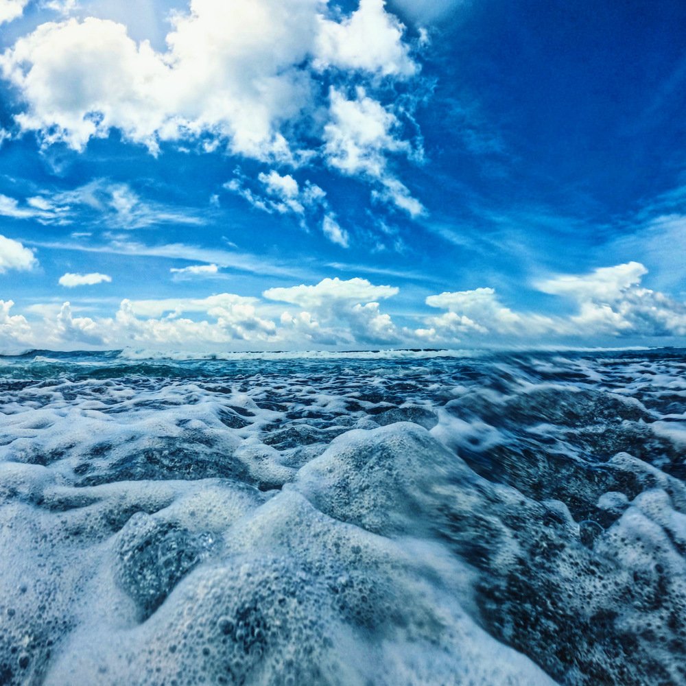 Photograph by Chamila Wickramanayake