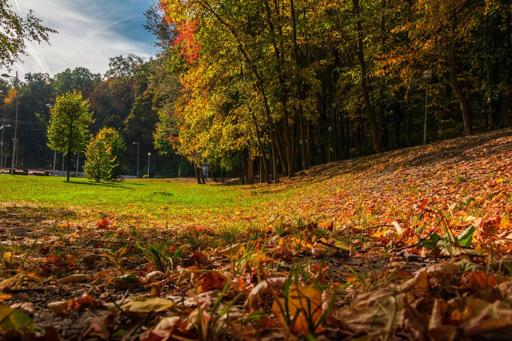 Photograph by Дмитрий Тимин