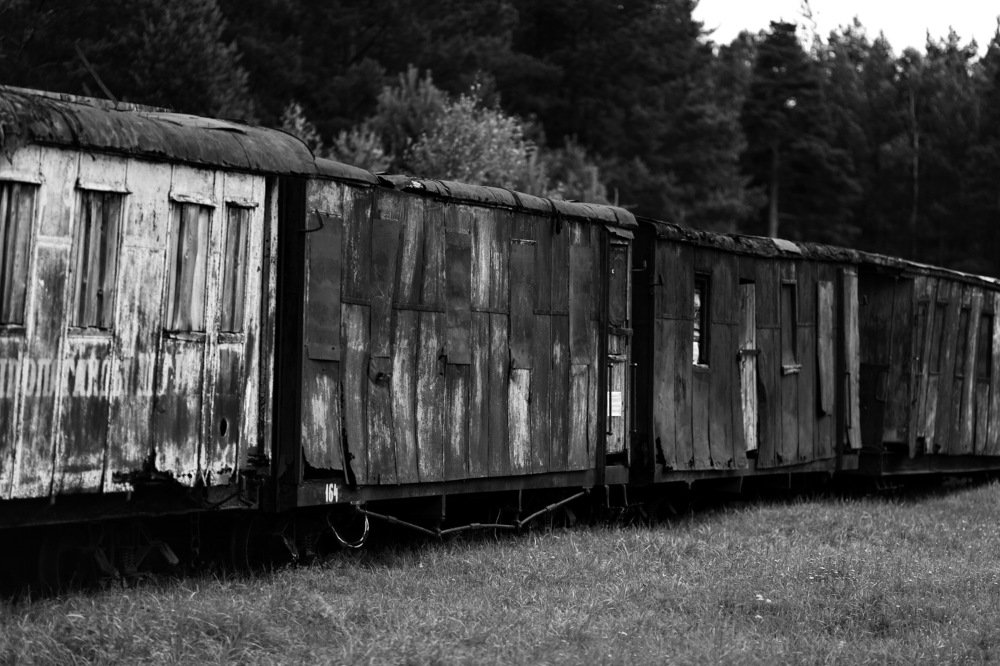 Photograph by Константин Лагоденко