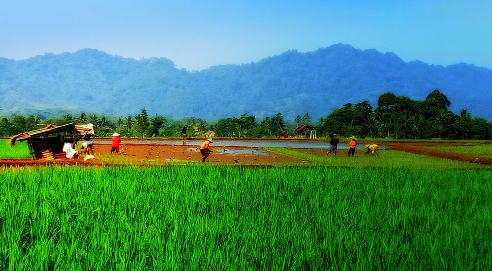 Photograph by Herawati