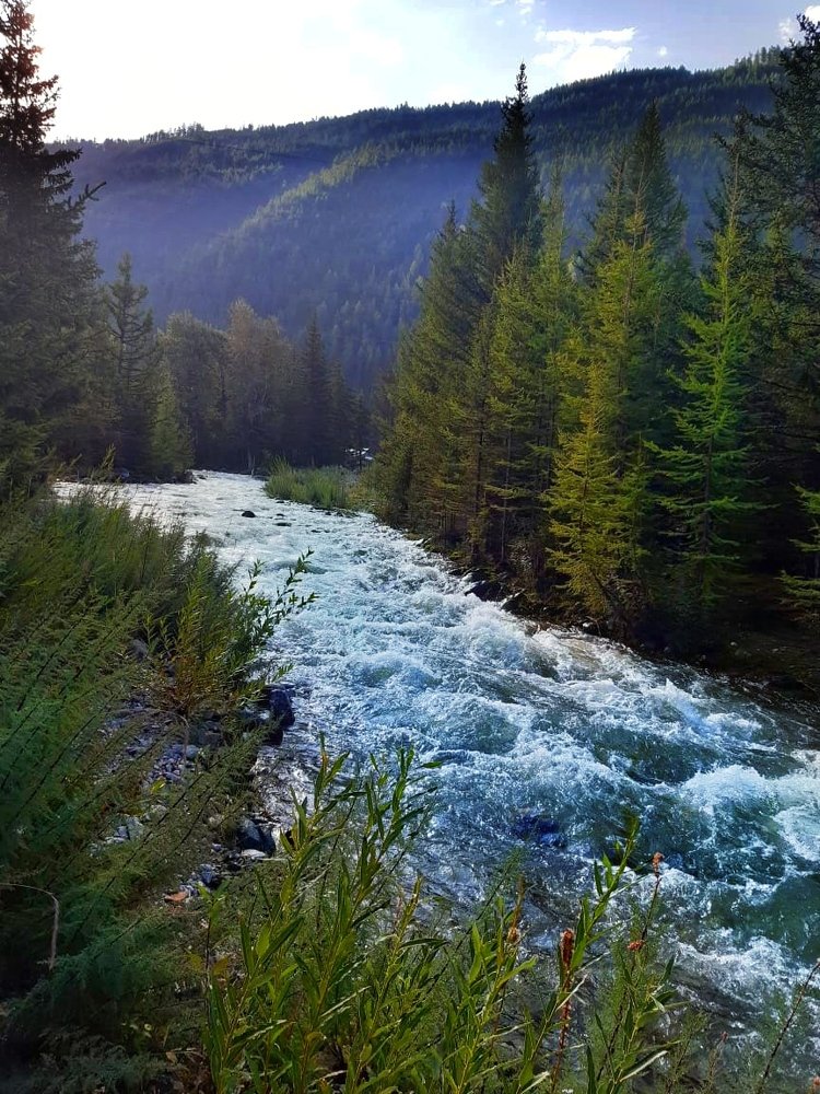 Photograph by Анастасия Глушкова