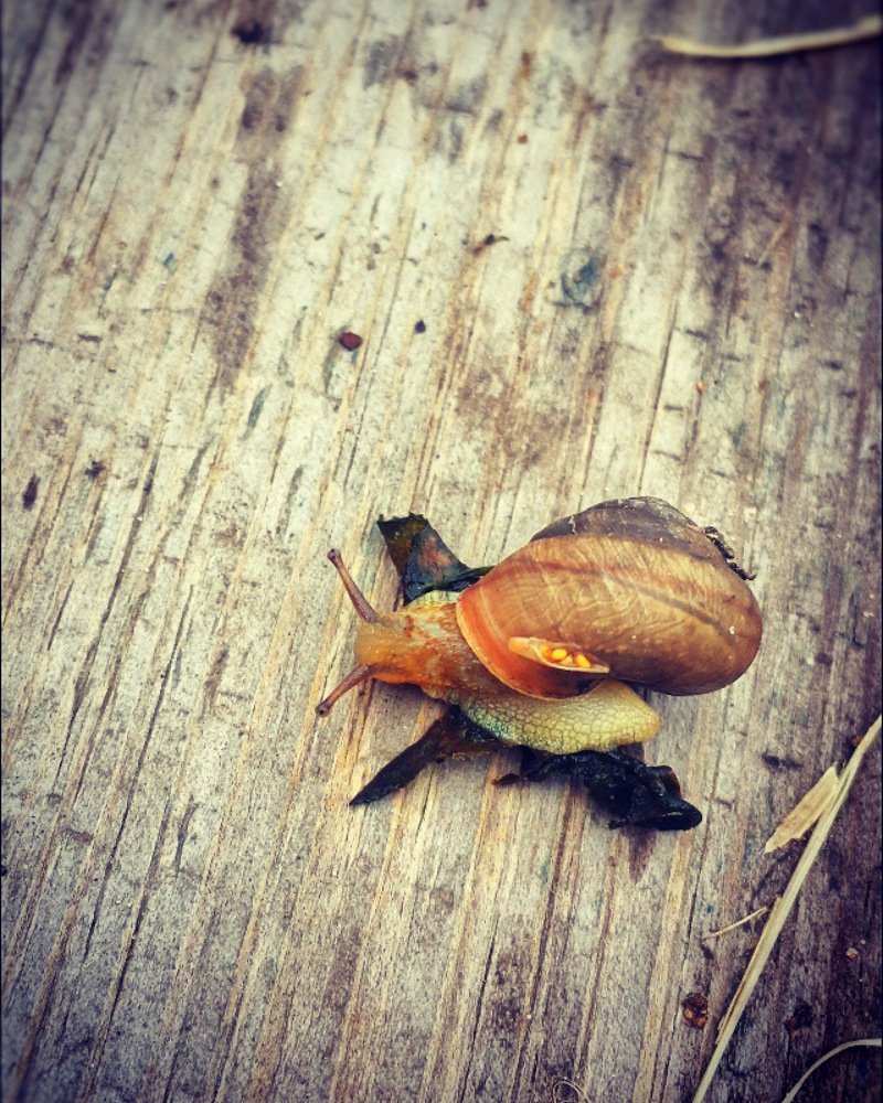 Photograph by Анастасия Глушкова