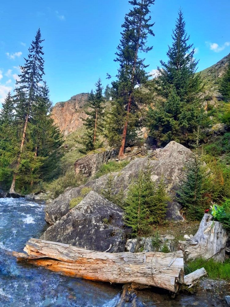 Photograph by Анастасия Глушкова