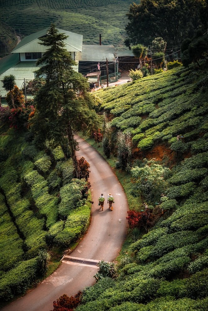 The pure joy of workers