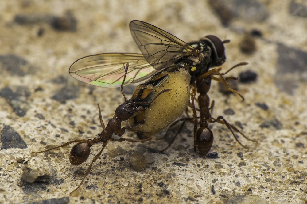 Photograph by heymans Tiffany