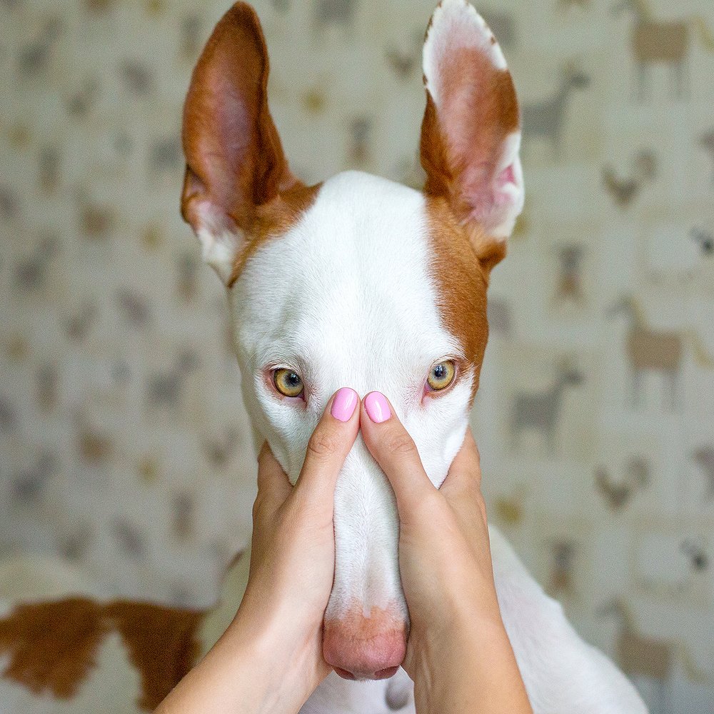 Photograph by Старикова Светлана