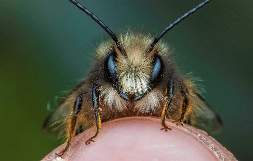 Photograph by heymans Tiffany