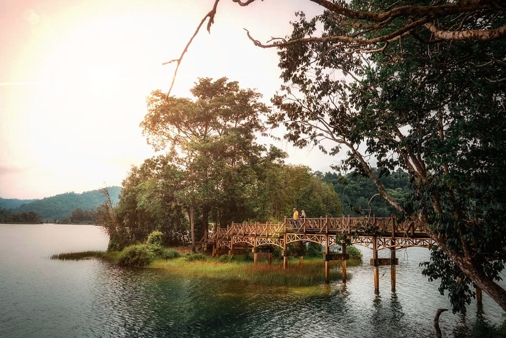 Lovebirds were enjoying their moments.