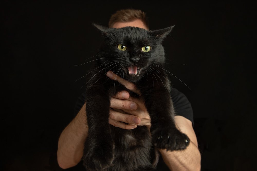 Photograph by Андрей Воронов