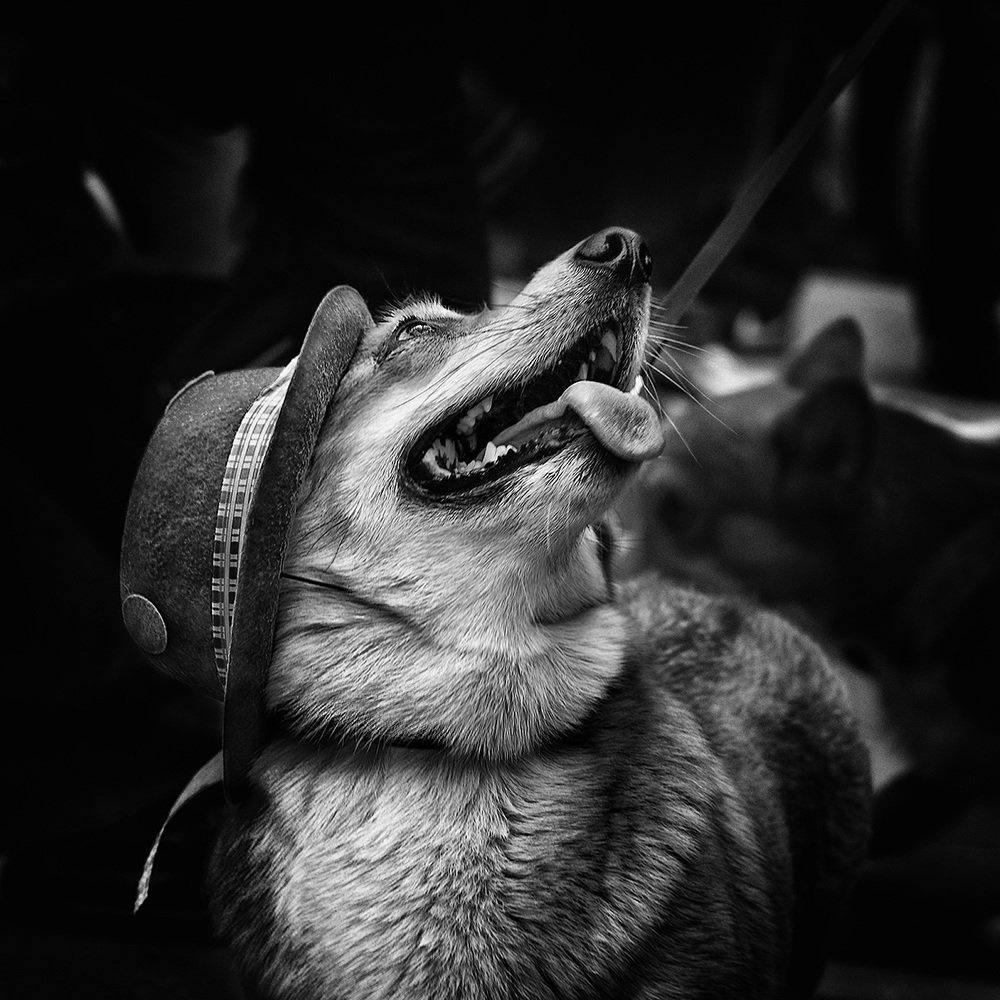 Photograph by Vera Trandina