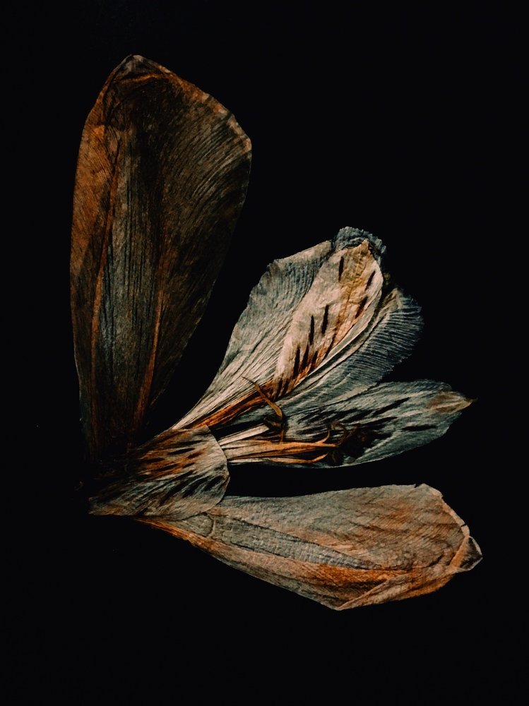 Photograph by Артур Жуков