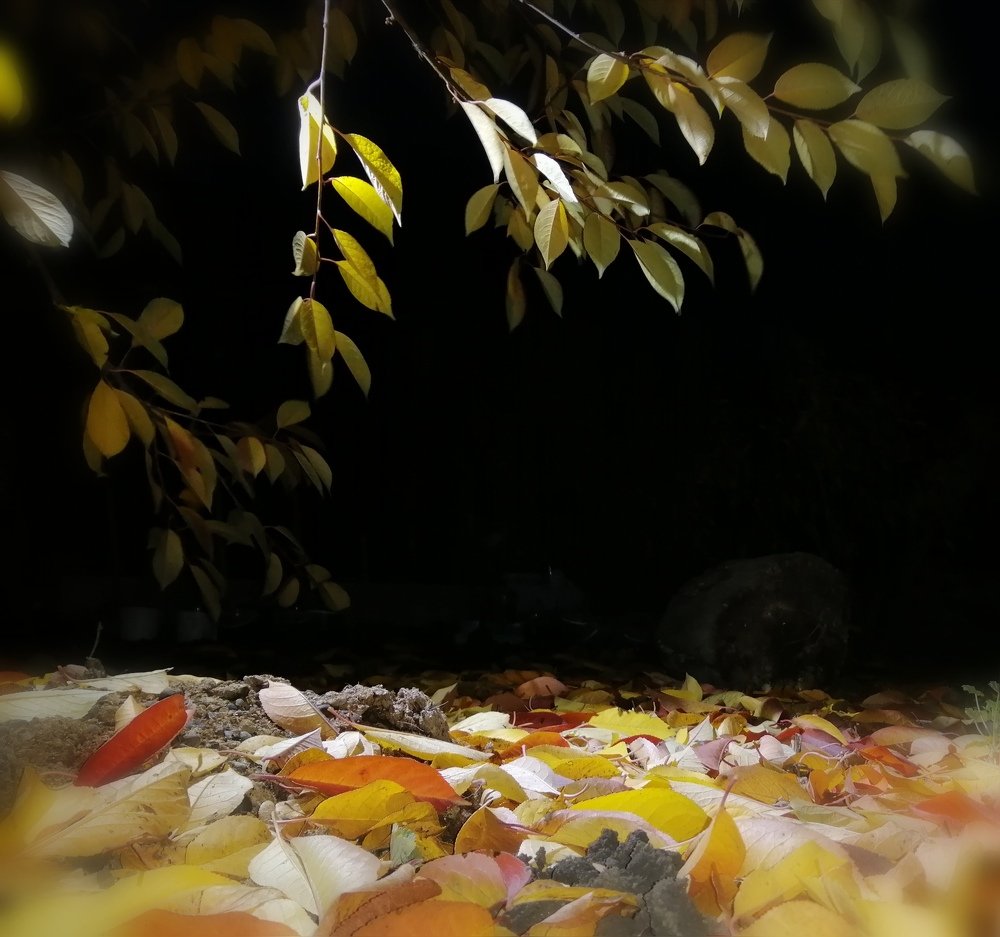 Осенний вечер.