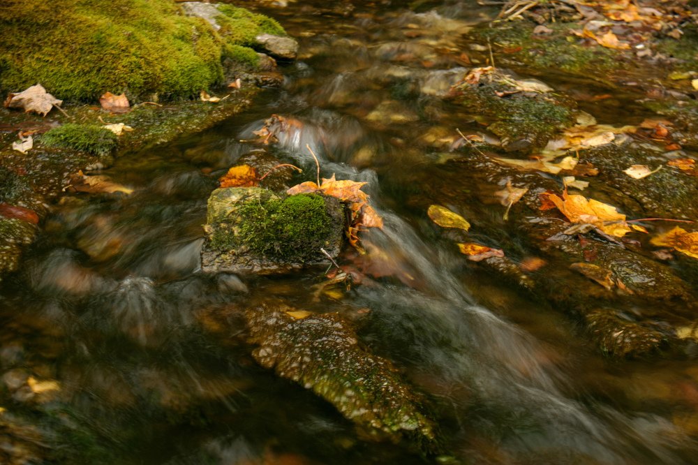 Photograph by Екатерина Семенова