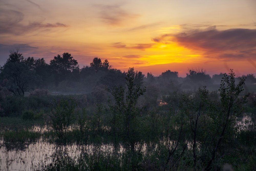 Photograph by Владимир Орлов