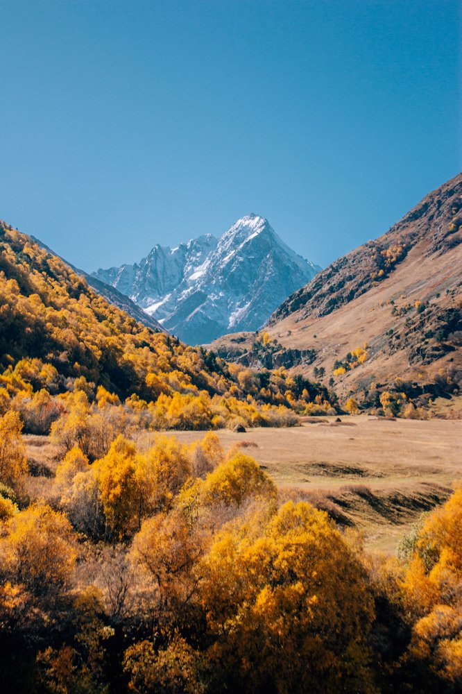 Осенние просторы