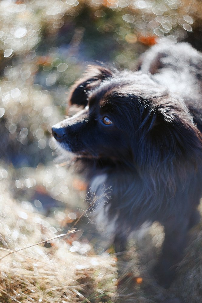 Photograph by Шидловская-Вашкевич Татьяна