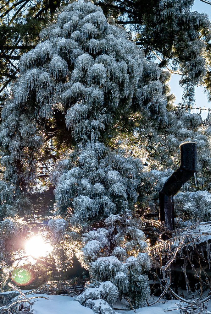 песнь льда и пламени