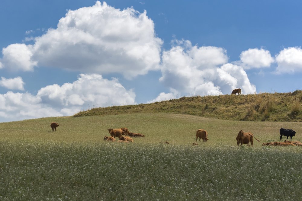 Photograph by avarino caracò