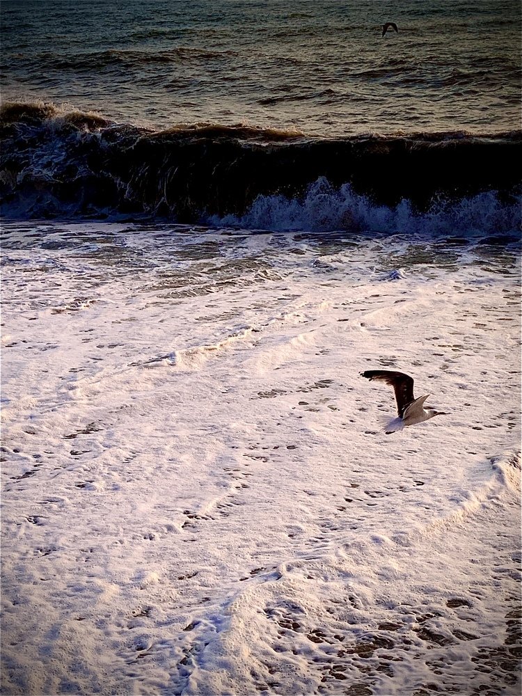 Photograph by Маргарита Кононова