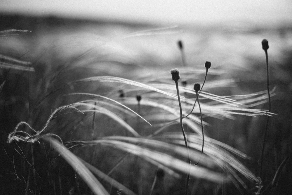 Photograph by Екатерина