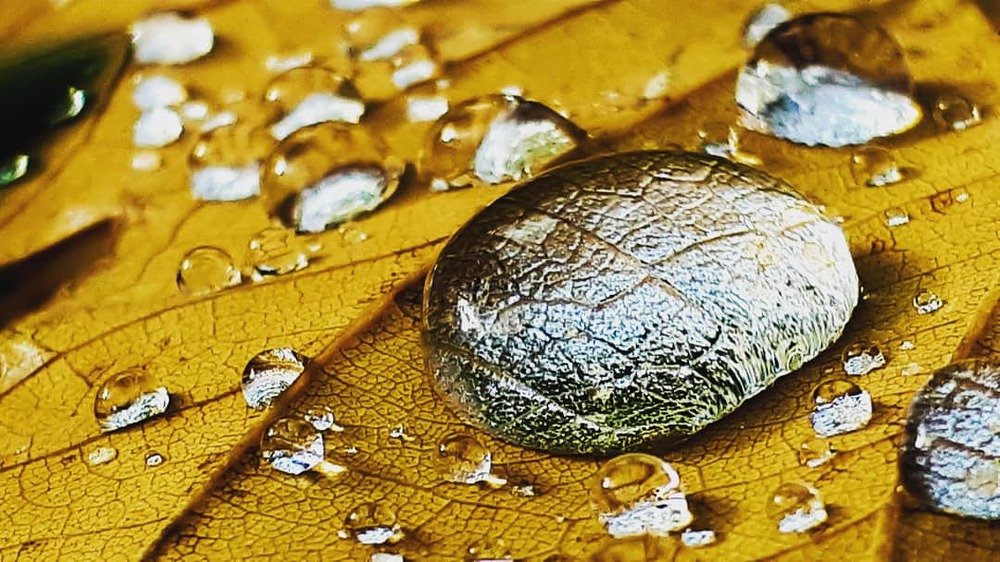 Photograph by Kristiina Soots