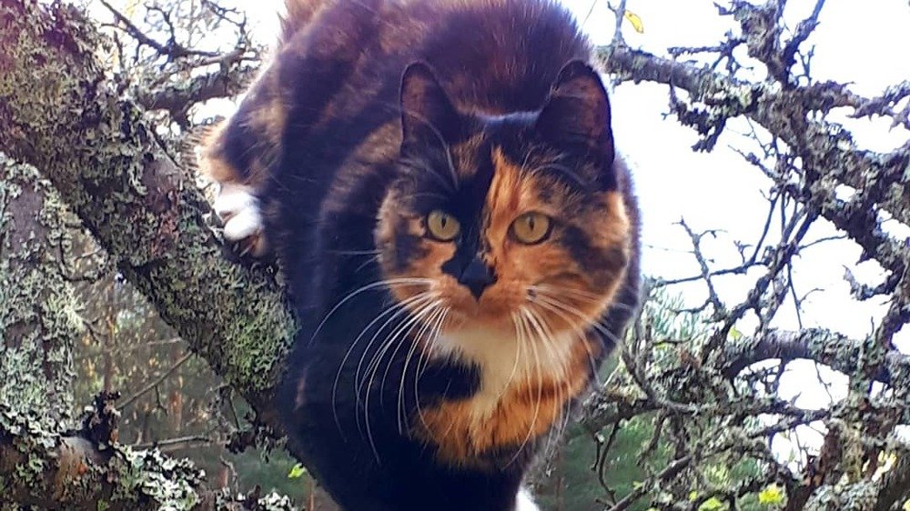 Photograph by Kristiina Soots