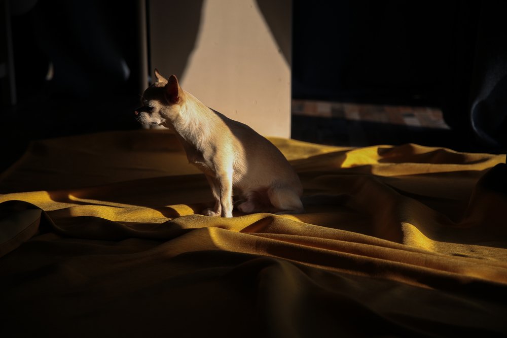 Photograph by Ленар Карим