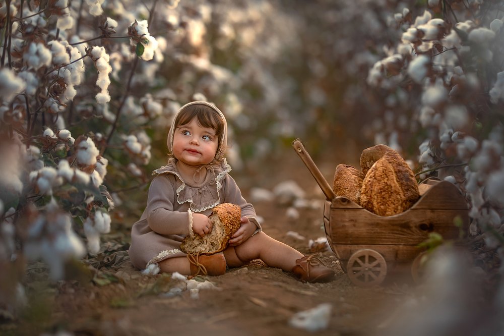 Photograph by yarden kaplan