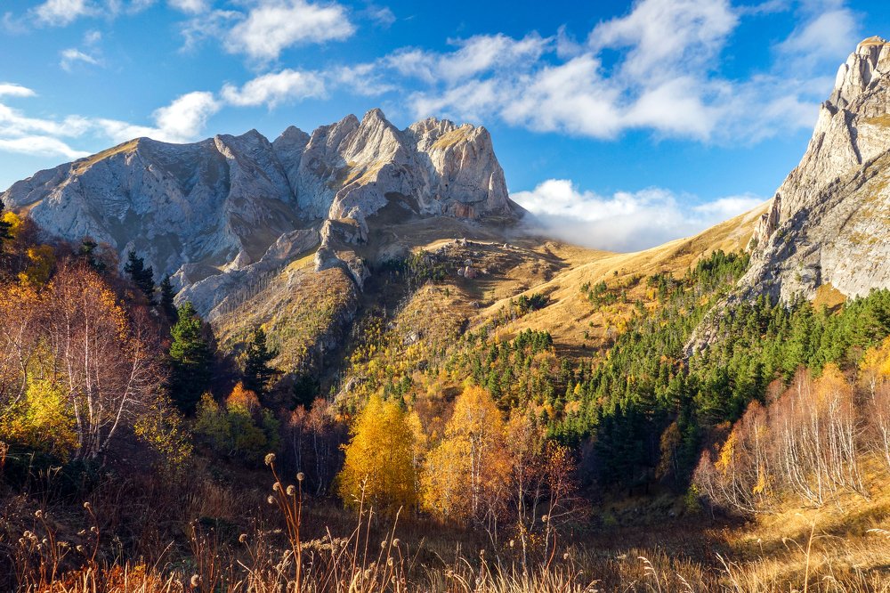 Photograph by Владимир Ганюшкин