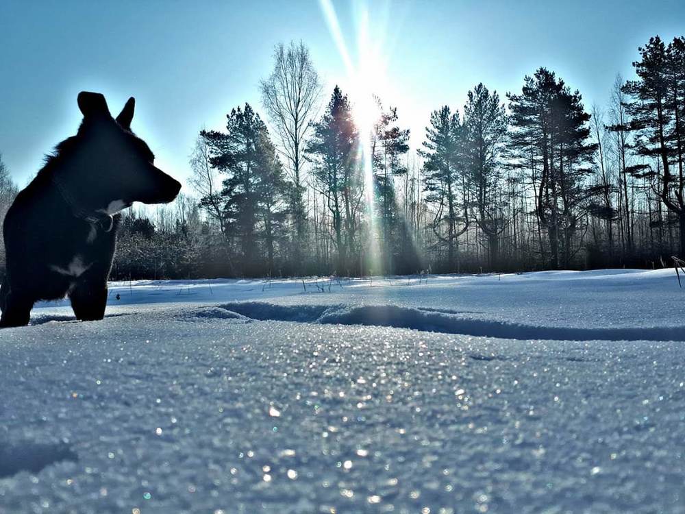 Photograph by Kristiina Soots