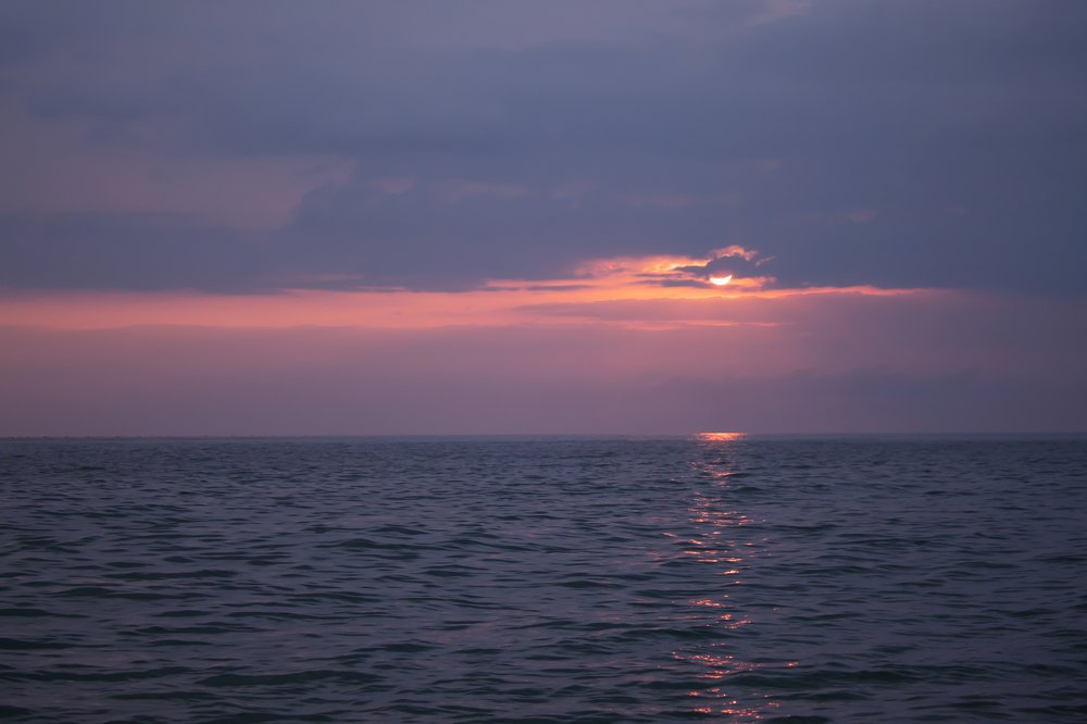 Морская симметрия