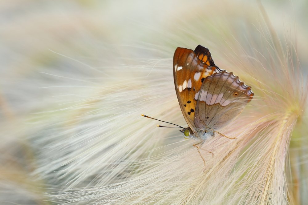 Фотография автора Иван Науменко