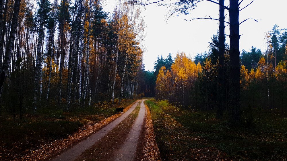 Photograph by Kristiina Soots