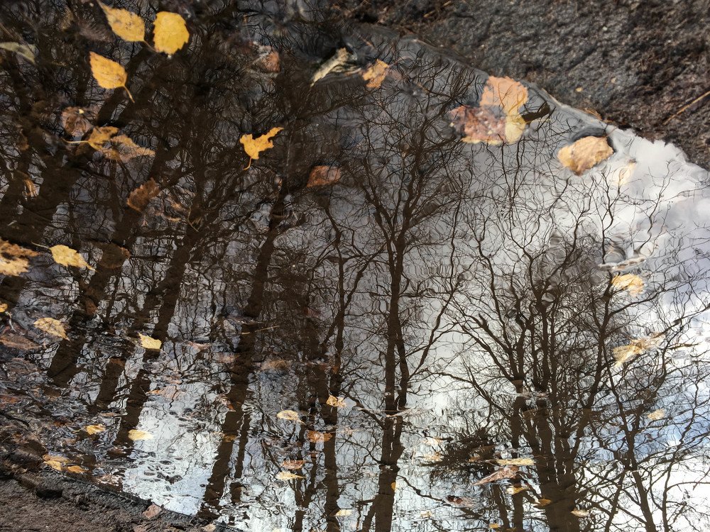 Photograph by Татьяна Трошина