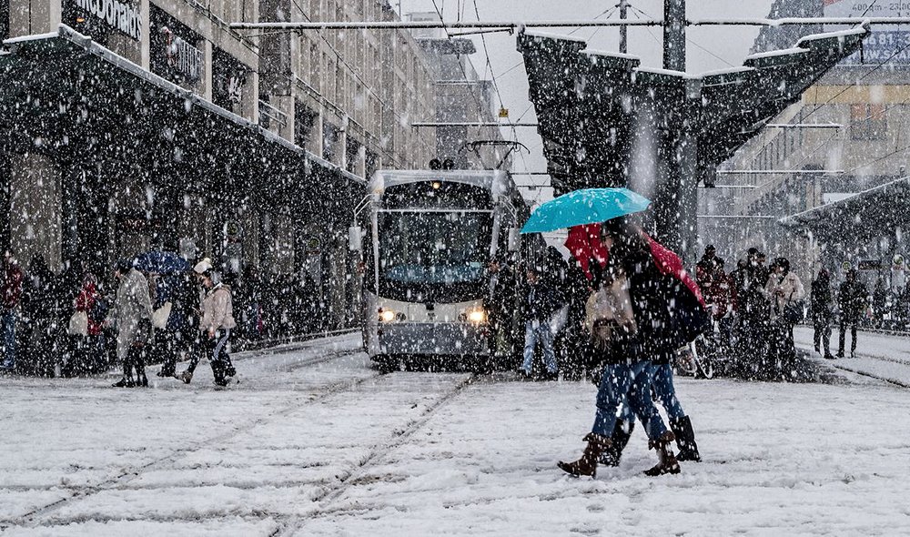 Photograph by Игорь Гомельский