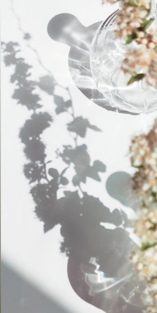 Photograph by Юлия Осипенко